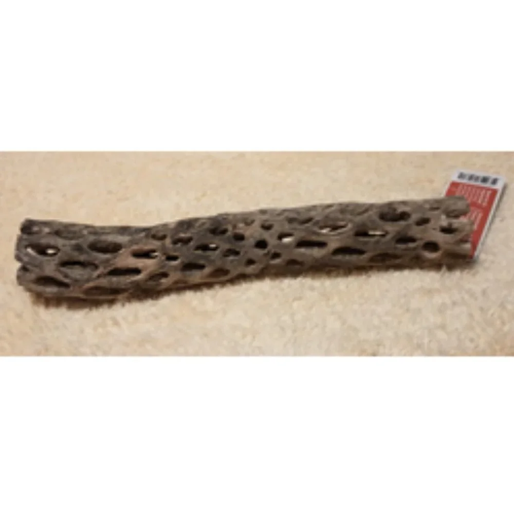 Galapagos Cholla Wood Branch Terrarium Natural Accessory, Regular 12 inches long